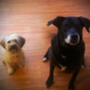 Meet your Posher, Lianne